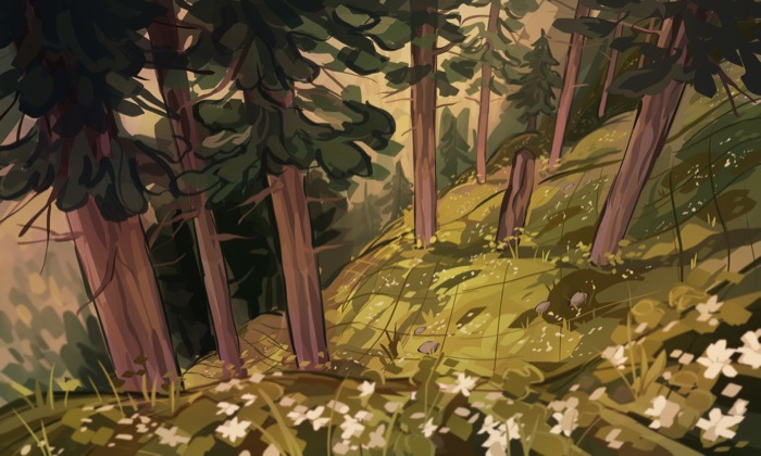 Sunlit forest floor scattered with white flowers